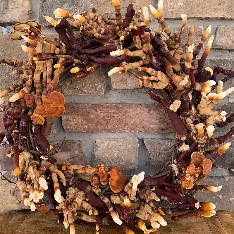 Dried Reishi wreath that you can make yourself by attending our online seminar series on November 17.
