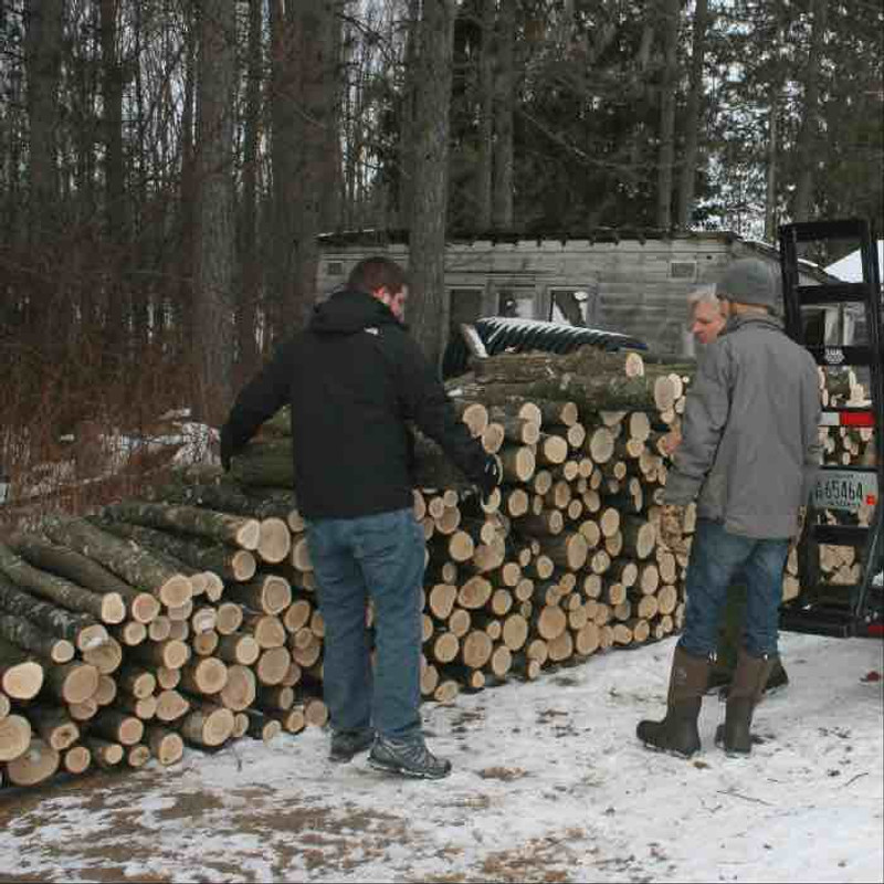 What Kind of Logs do I Need to Grow Mushrooms?