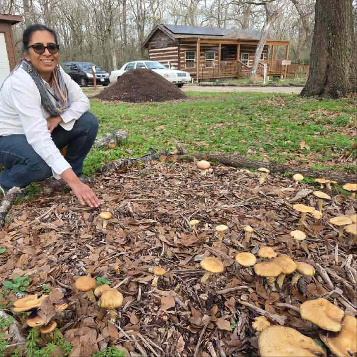 Citizen Science | Testing Wine Cap Planting Times in Southern Climates