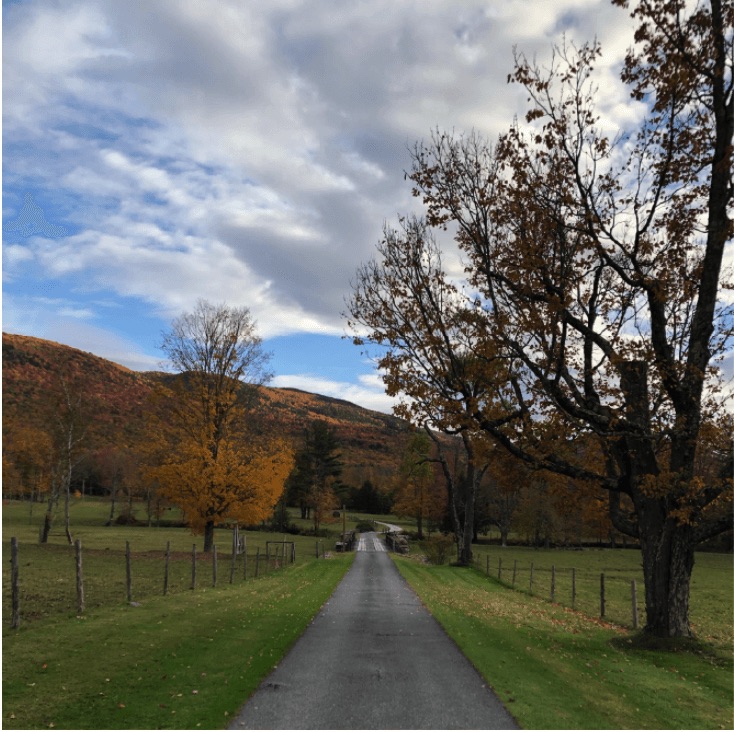 Dormancy: When it is, What it is, and Why it is Important for Mushroom Cultivation