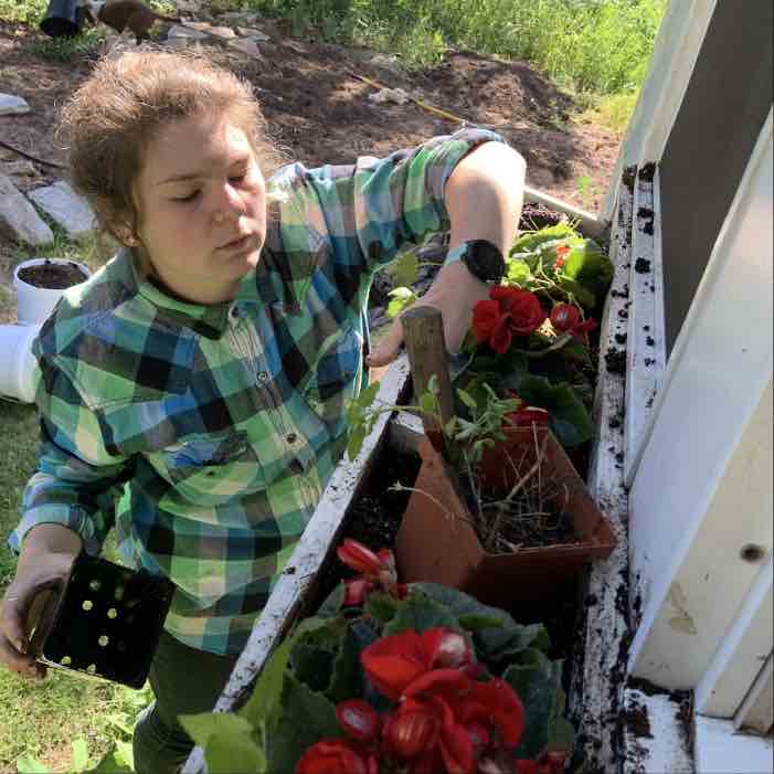 Growing Mushrooms in Flower Pots