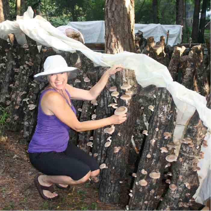  What are Fruiting Blankets and How do I Use Them?