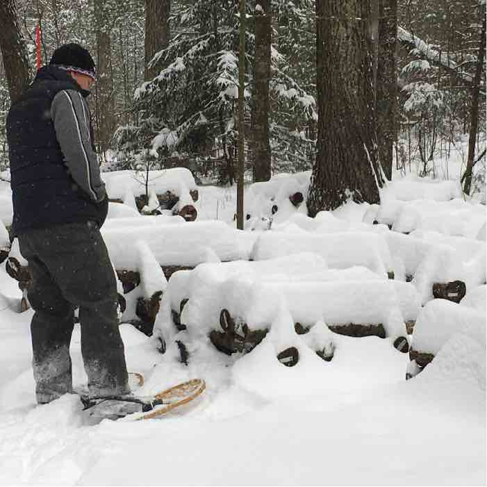 Preparing your Mushroom Logs for Winter