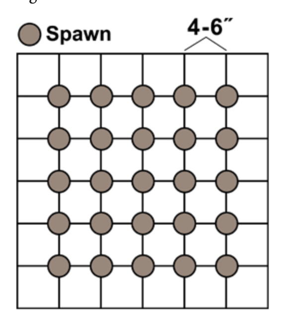 grid showing how to plant almond agaricus