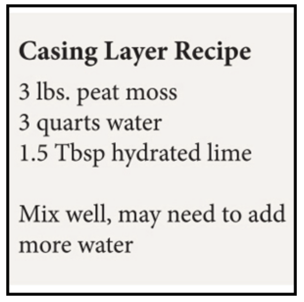 casing recipe