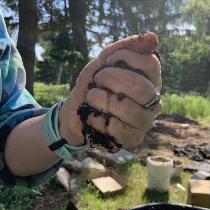 compost moisture for growing mushrooms