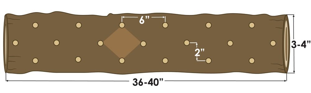 log inoculation diagram