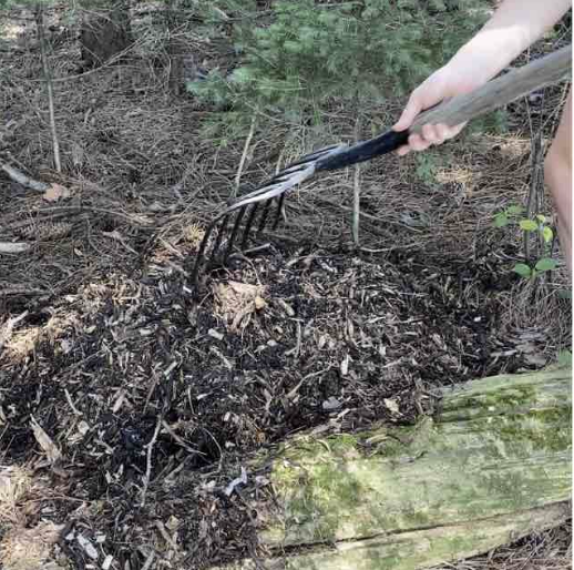 planting ready-to-bury blocks