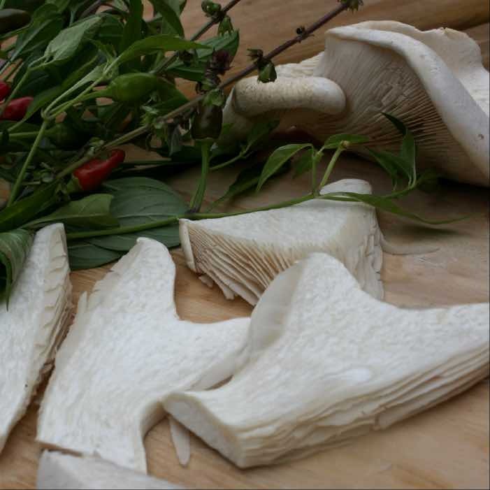 Cut up mushrooms waiting to be made into stock. 