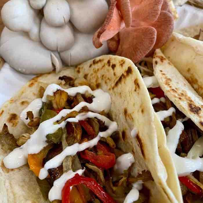 oyster mushroom tacos