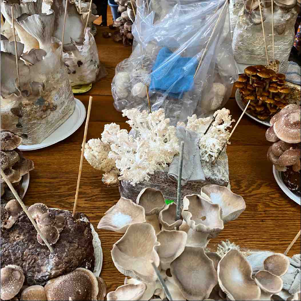 Table Top Farm FAQs - Field & Forest Products