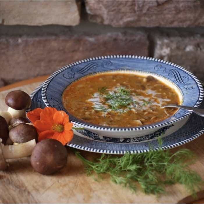 wine cap mushroom soup in a bowl