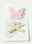 Melody - 2-Piece Butterfly & Pearl Clip