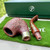 Peterson Irish Harp Sandblasted Oom Paul (304) Fishtail Pipe - NEW