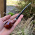 Peterson Churchwarden Smooth Prince Fishtail Tobacco Pipe - New