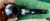 Peterson Sherlock Holmes Smooth Heritage Lestrade P-Lip Pipe - New