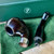 Peterson Sherlock Holmes Smooth Heritage Lestrade P-Lip Pipe - New