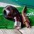 Peterson Irish Harp Smooth Bent Rhodesian (999) Fishtail Pipe - New
