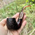Savinelli Roma LUCITE Bent Billiard Oom Paul (614 KS) 6mm Filter Pipe - New