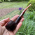 Savinelli Roma Lucite Rusticated Prince (315 KS) 6mm Filter Pipe - New