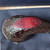 Savinelli Roma Bent Billiard Oom Paul (614) 6mm Filter Black Stem Pipe - New