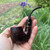 Savinelli Roma Bent Billiard Oom Paul (614) 6mm Filter Black Stem Pipe - New