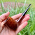 The Academy Award (Comoy's) London Pipe Smooth(291) Briar Estate Pipe- Restored