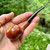 UNSMOKED KBB  Yello-Bole Premier Pre 1955 Smooth Prince Briar  Estate Pipe - NOS