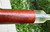 UNSMOKED KBB Pre 1955  Yello-Bole Briar Cured With Real Honey Estate Pipe - NOS