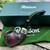 Peterson System Standard Sandblasted Bent Apple (303) P-Lip Pipe - New