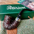 Peterson Pipe of the Year 2025 Rusticated P-Lip Oom Paul Peterson Pipe of the Year 2025 Rusticated P-Lip Oom Paul