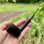 Saint Nicholas 2025 Lovat Christmas (701) 6mm Filter Pipe - New Saint Nicholas 2025 Lovat Christmas (701) 6mm Filter Pipe - New