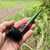 Savinelli Saint Nicholas 2025 Christmas Billiard (106) 6mm Filter Pipe Savinelli Saint Nicholas 2025 Christmas Billiard (106) 6mm Filter Pipe
