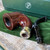 Peterson System Standard Smooth Calabash (XL315) Fishtail Pipe - New