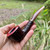 Savinelli Roma Lucite Rusticated Bent Pot (316 KS) 6mm Filter Pipe - New Savinelli Roma Lucite Rusticated Bent Pot (316 KS) 6mm Filter Pipe - New