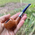 Savinelli Eleganza Smooth Natural Prince (315 KS) 6mm Filter Pipe - New
