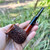 Ascorti Italia Business Straight Rusticated  Briar Tobacco Pipe Italy - New