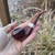 Peterson Irish Harp Sandblasted Bent Bulldog (80s) Tobacco Pipe - NEW