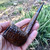 Rossi Sera Rusticated Canadian (8804) 6mm Filter Pipe by Savinelli - New