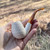 Block Meerschaum Classic Lattice Finish Pipe Full Bend By Paykoc