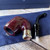 Savinelli Dry System Smooth (620) (6mm) Filter Pipe