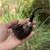 Peterson System Standard Rusticated Bent Calabash (XL315) Fishtail Pipe - New