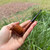 Unmarked  Briar Estate Pipe  Italy- Restored!