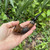 Erik Nording Extra Coffee #3 Freehand Made in Denmark Briar Tobacco Pipe - NEW