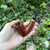 Eric Nording Extra #2 Freehand Handmade in Denmark Briar Pipe - NEW