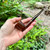 UNSMOKED Kaywoodie Regent(459) Briar Estate Pipe NOS 1963-1970 NOS
