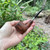 Erik Nording Silver Spigot C Smooth Briar Tobacco Pipe NEW