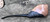 German Hand Made Hanseatic Plateaux Freehand Briar Tobacco Pipe Churchwarden NEW
