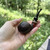 Erik Nording Nose Warmer #1-1 Denmark Briar Tobacco Pipe New