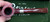 Peterson Irish Harp Sandblasted (128) Fishtail Tobacco Pipe Sterling Silver New